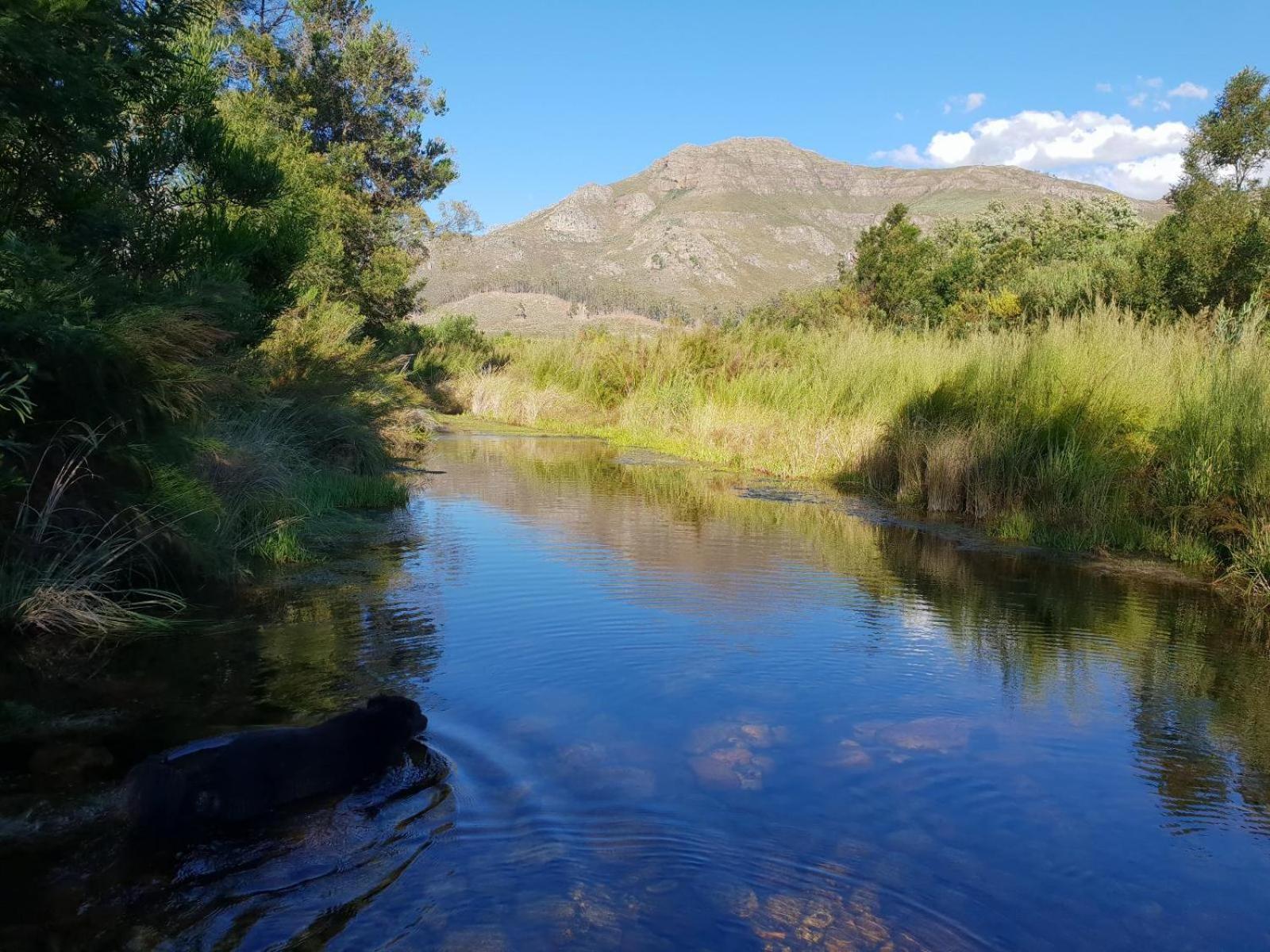Villa La Ferme Guest Farm - Hot Tubs à Franschhoek Extérieur photo